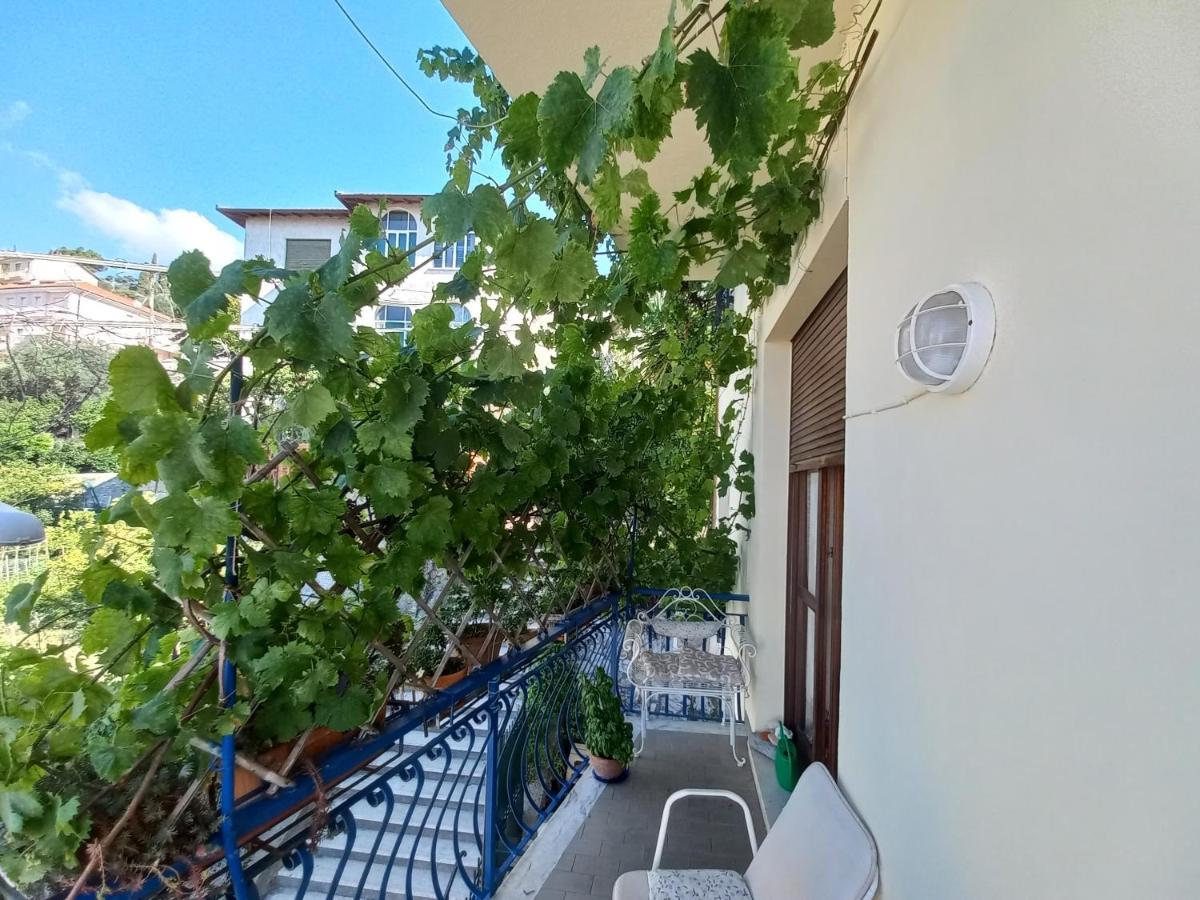 פינאלה ליגורה Home Caviglia Citra 09029-Lt-0618 מראה חיצוני תמונה